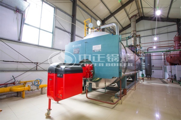 10噸WNS系列冷凝式燃?xì)庹羝仩t項(xiàng)目