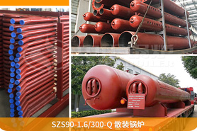 中正鍋爐為確保鍋爐項目順利展，向巴基斯坦提供了專業(yè)的技術指導